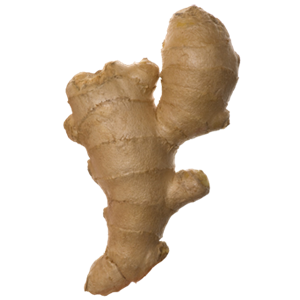 Ginger PNG-16774